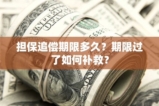 武汉担保追偿期限多久？期限过了如何补救？