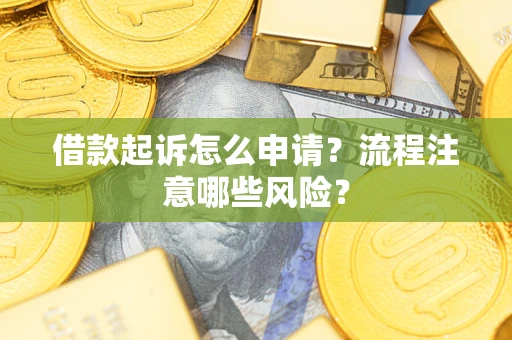 武汉借款起诉怎么申请？流程注意哪些风险？