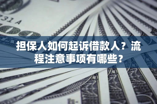 武汉担保人如何起诉借款人？流程注意事项有哪些？